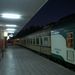2007_egypttrip066